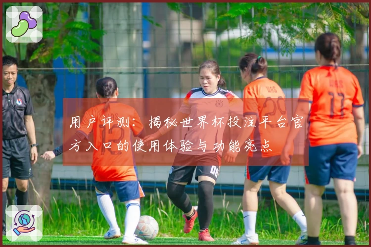 用户评测：揭秘世界杯投注平台官方入口的使用体验与功能亮点