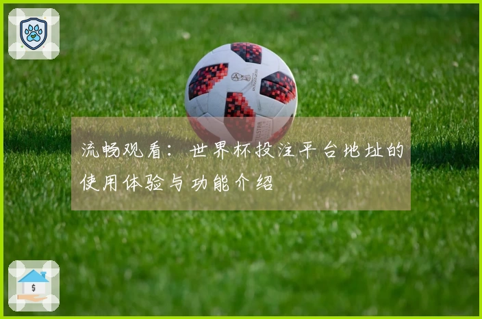 流畅观看：世界杯投注平台地址的使用体验与功能介绍