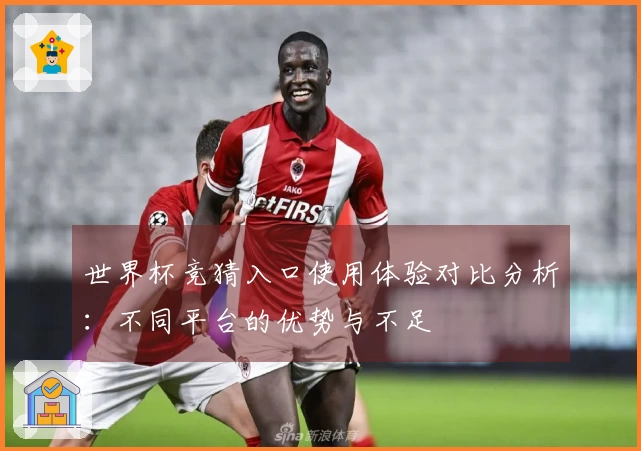 世界杯竞猜入口使用体验对比分析：不同平台的优势与不足